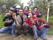 Apel 1